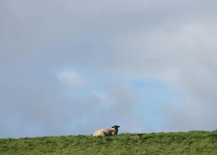 Tatil Evi Ferienhaus Utlandshoern